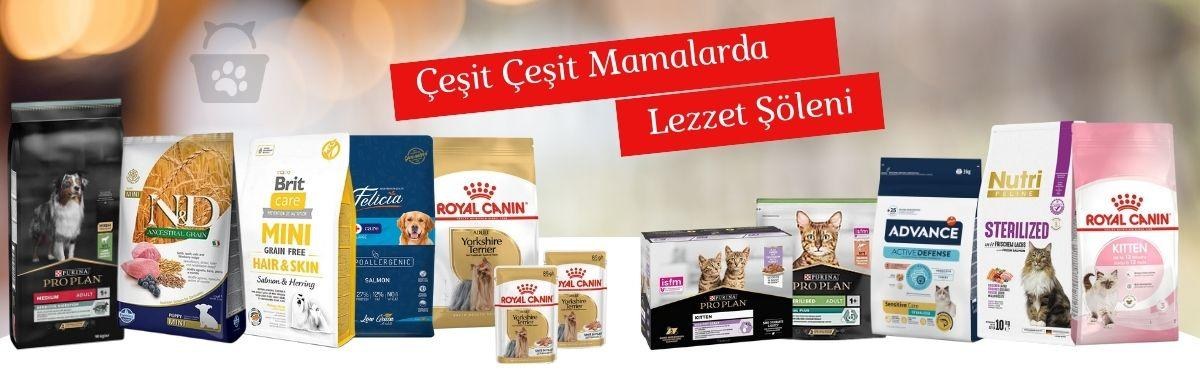 Çeşit çeşit mamalarda lezzet şöleni